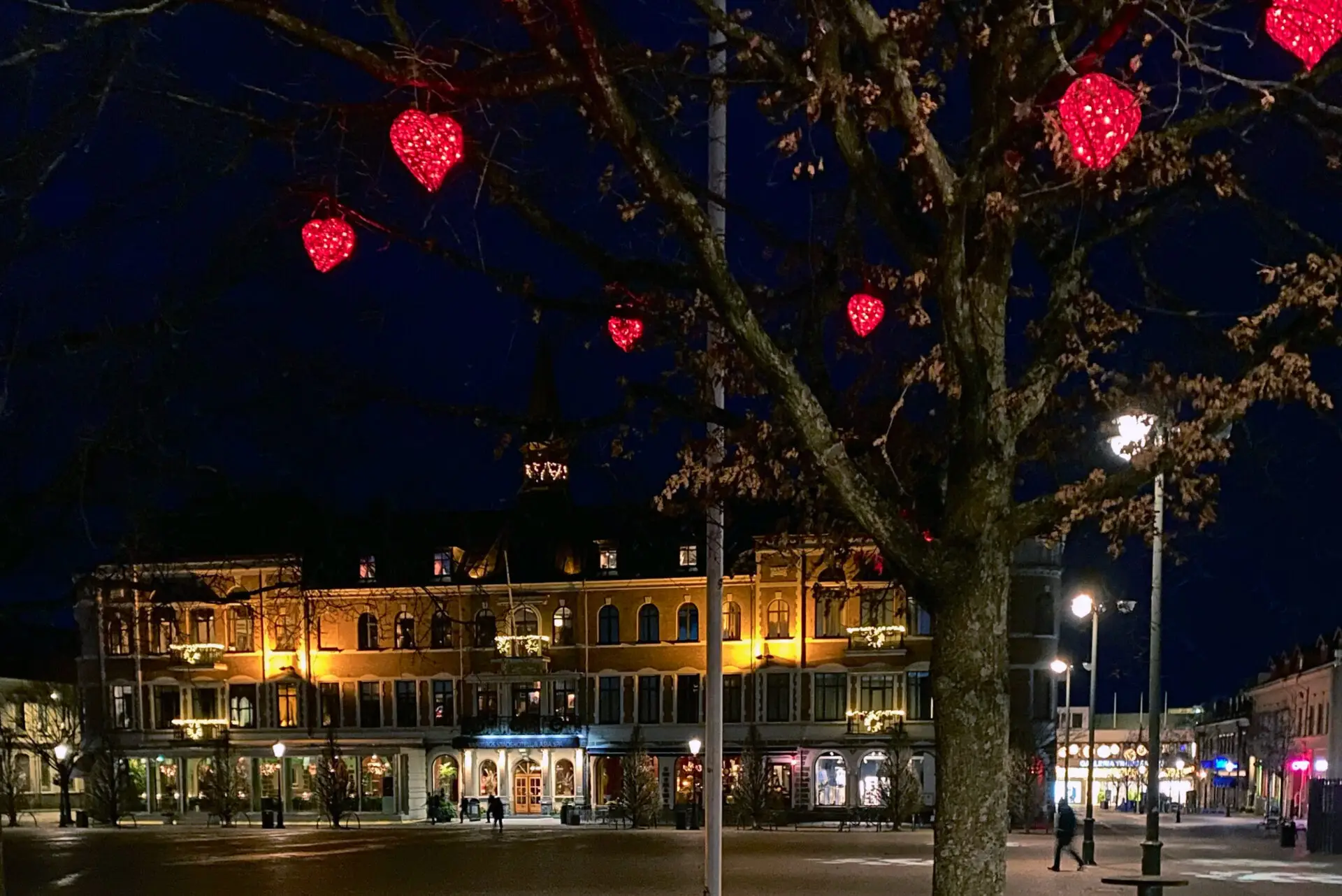 ljushjärtan hänger i träd på varbergs torg