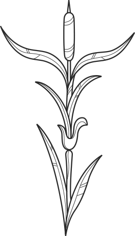 kaveldun