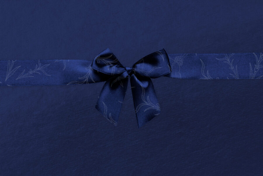 blått paket med rosett